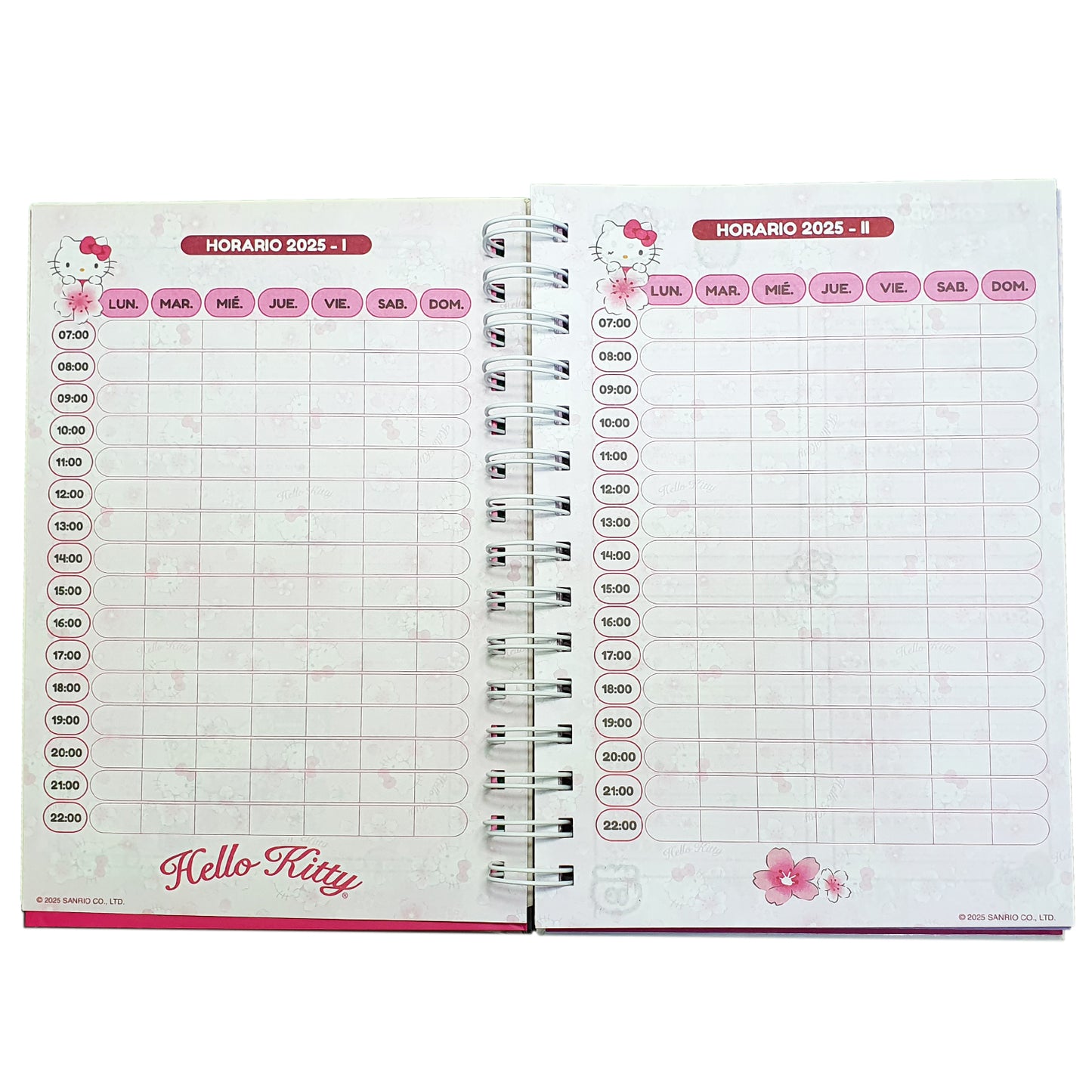 SANRIO AGENDA 2025 TAMAÑO A5 FUN DAY HELLO KITTY - MULTICOLOR