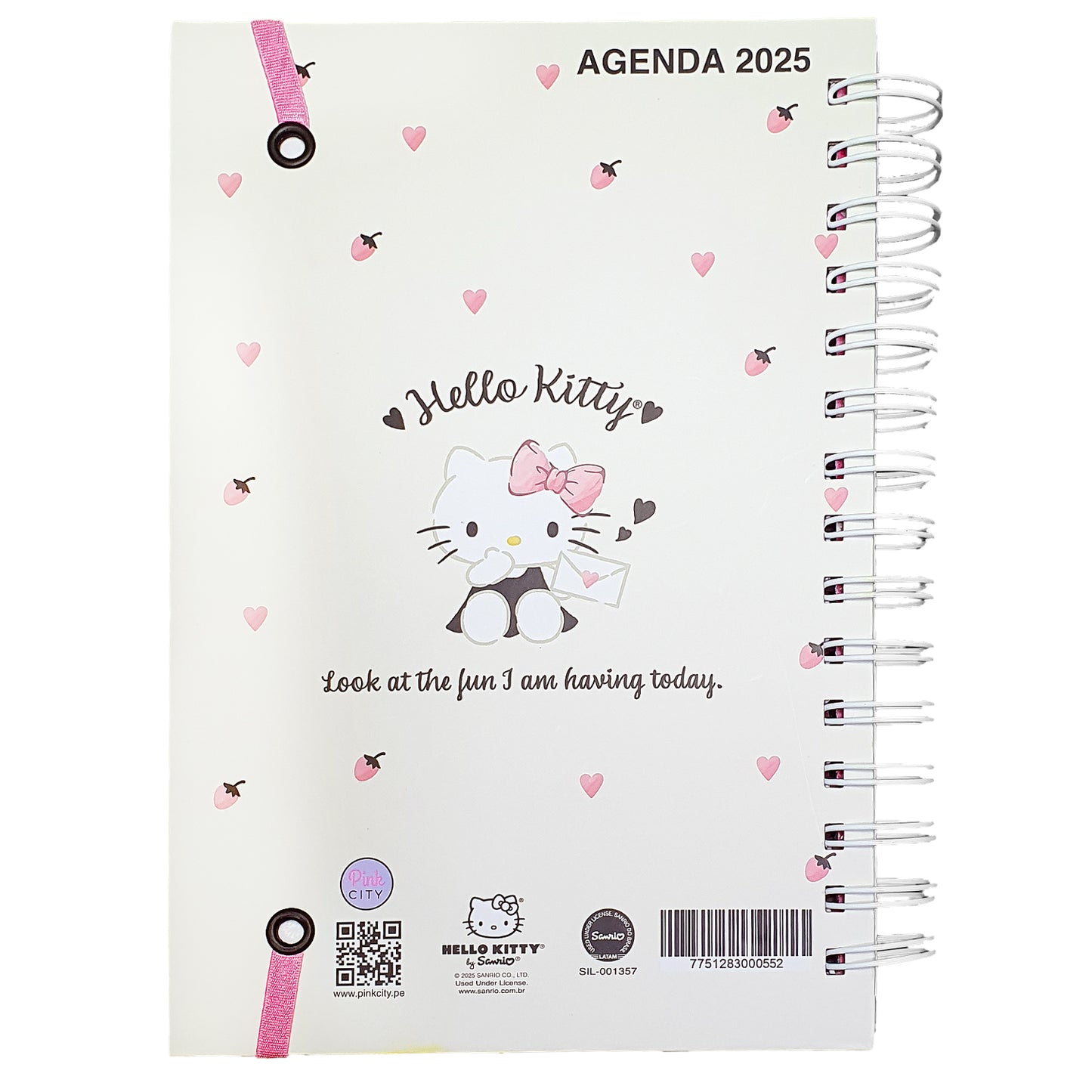 SANRIO AGENDA 2025 TAMAÑO A5 FUN DAY HELLO KITTY - MULTICOLOR